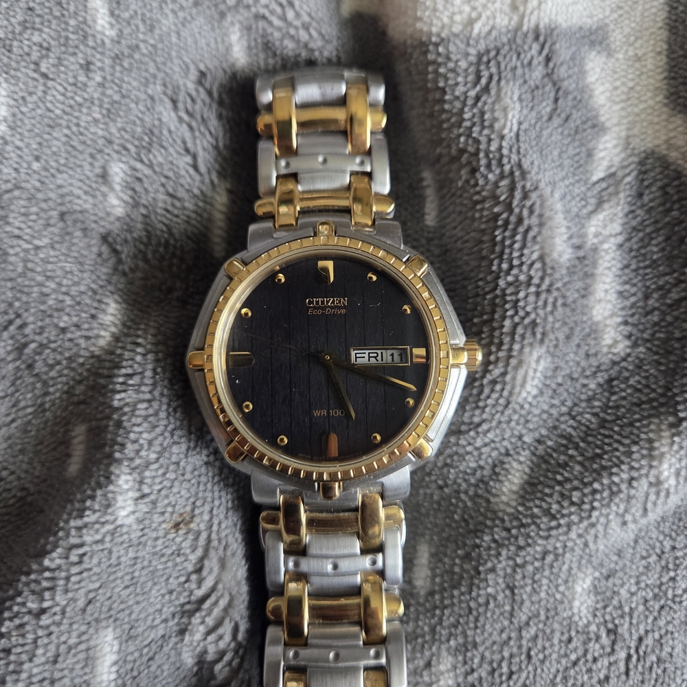 Citizen Women's Two-Tone Watch Stainless Steel Watch 22cm